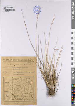 LE 01199261