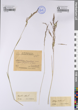 LE 01199264