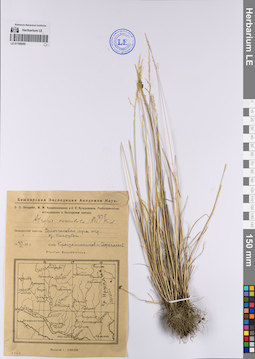 LE 01199265