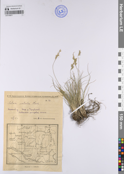 LE 01199271