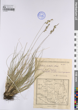 LE 01199272