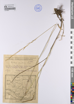 LE 01199316