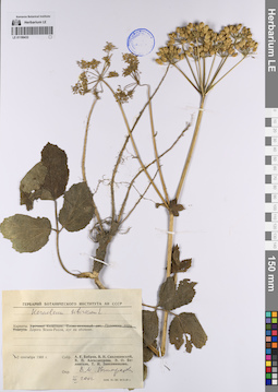LE 01199433