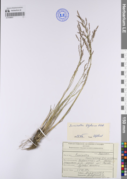 LE 01200431