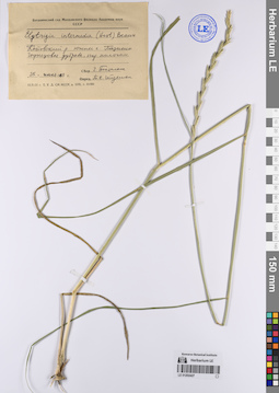 LE 01202427