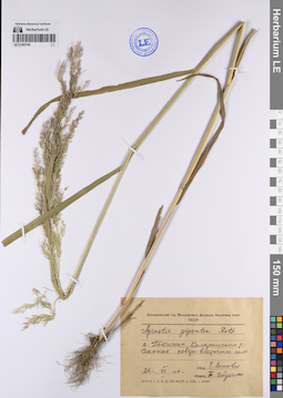 LE 01202740