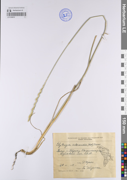 LE 01206018