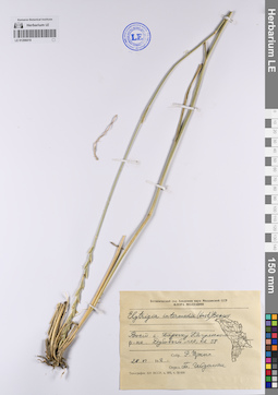 LE 01206019