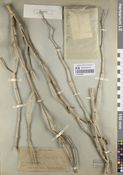 LE 01243439