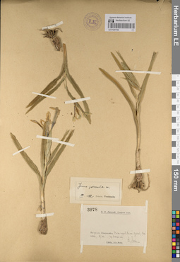 LE 01241164