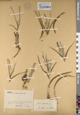 LE 01241178