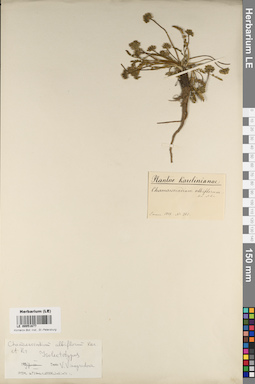 LE 00051677