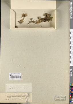 LE 01240209