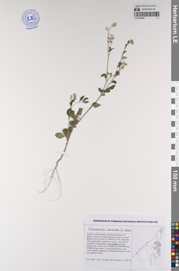 LE 01194536