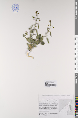 LE 01194571