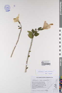 LE 01194572