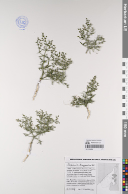 LE 01194584