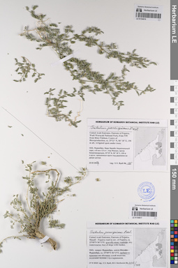 LE 01194616
