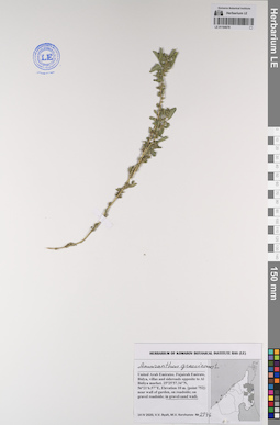 LE 01194679