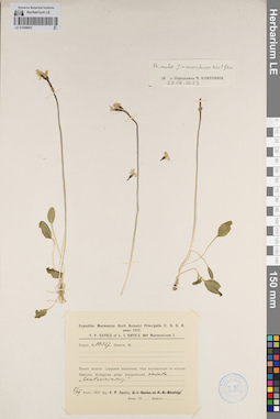 LE 01098802