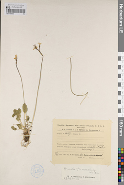 LE 01098803