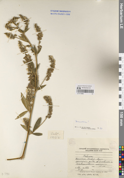 LE 01170804