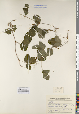 LE 01170806