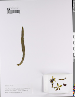 LE 01170785