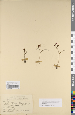 LE 01170788
