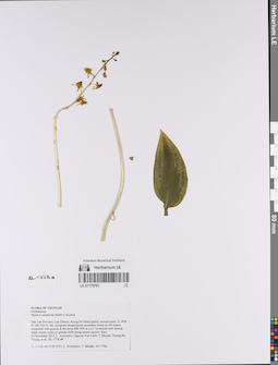 LE 01170791
