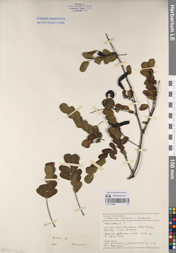 LE 01170948