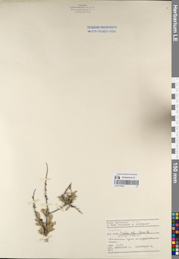 LE 01170813