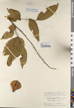 LE 01170819