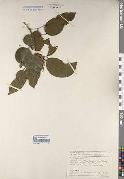 LE 01170961