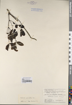 LE 01170970