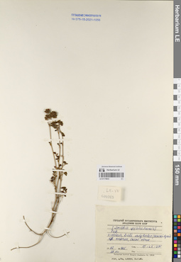 LE 01170833