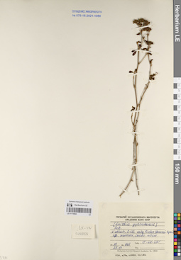 LE 01170834