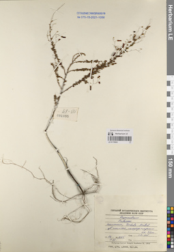 LE 01170835
