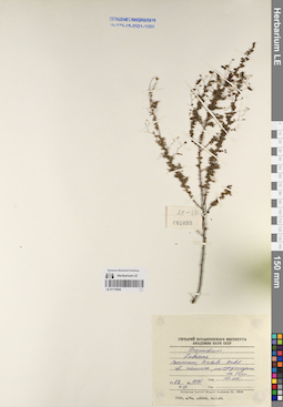 LE 01170836