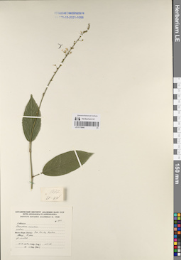 LE 01170845