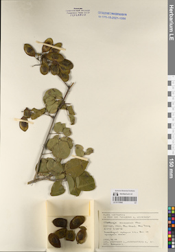 LE 01170846