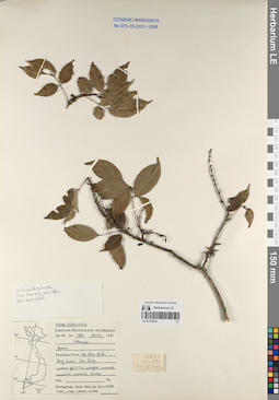 LE 01170875