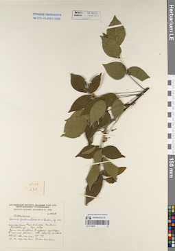 LE 01170879