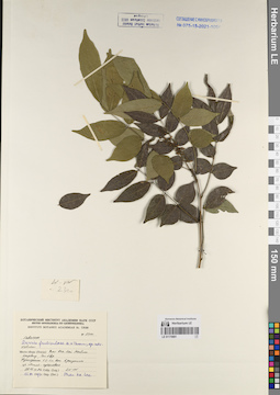 LE 01170881