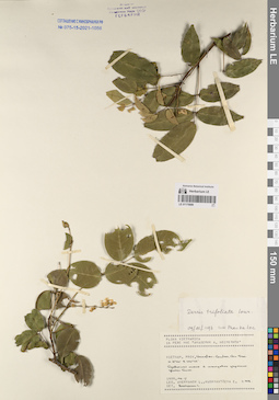 LE 01170889