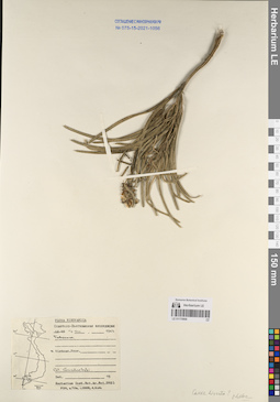 LE 01170906