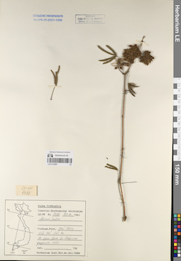 LE 01170907