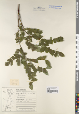 LE 01170908