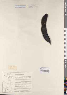 LE 01170911