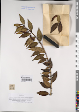 LE 01171048